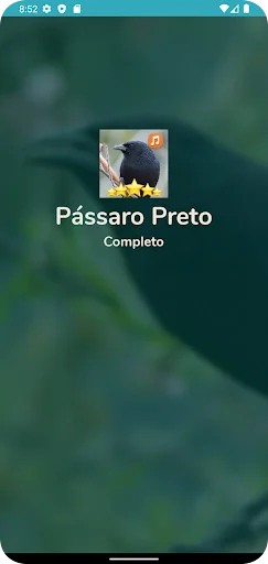 Canto de Pássaro Preto