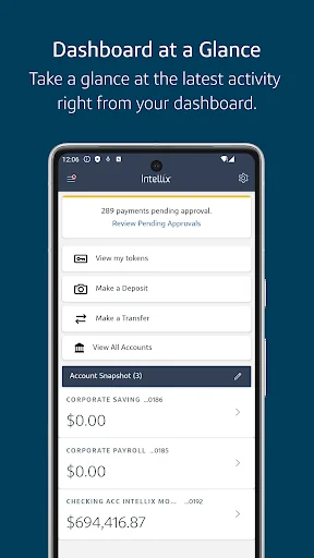 Capital One Intellix® Mobile