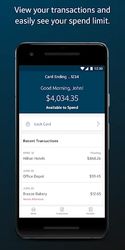 Capital One T&Easy