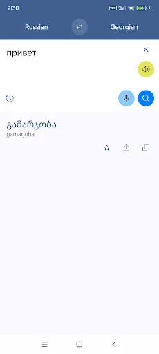 Georgian Russian Translate
