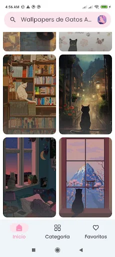 Aesthetic Cats Wallpapers