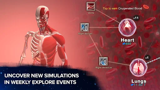 Cell to Singularity: Evolution