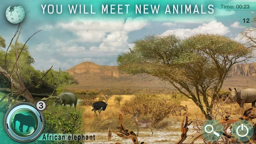 Hidden Animals: Photo Hunt