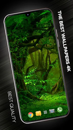 Trees Wallpapers in 4K