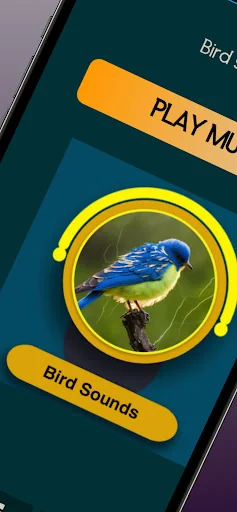 Bird Singing for Relaxing