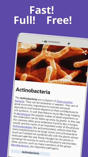 Bacteriology & Microbiology