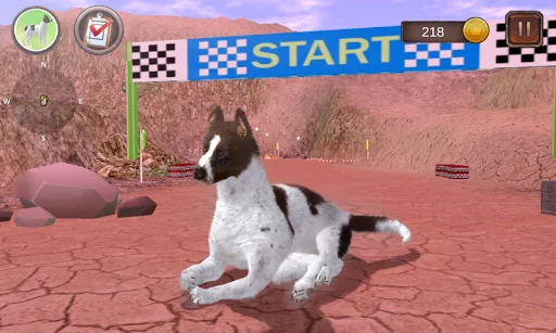 German Shorthaired Pointer Sim