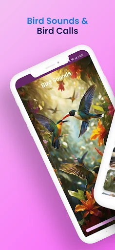 Bird Sounds & Bird Calls