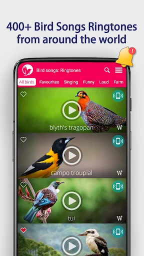 Bird Songs: Ringtones