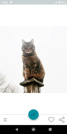 Cat-a-log