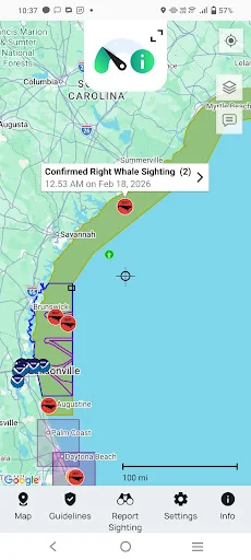 Whale Alert