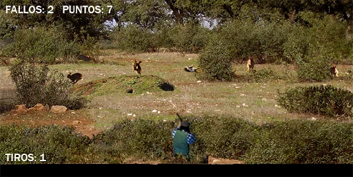 Cazando conejos