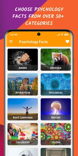 Daily Psychology Facts