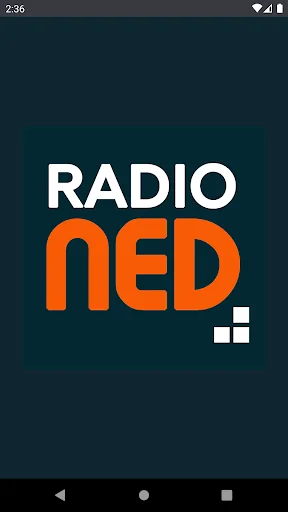 radio NED