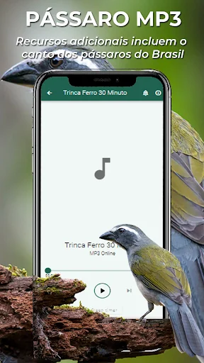 Canto Esquentar Trinca Ferro