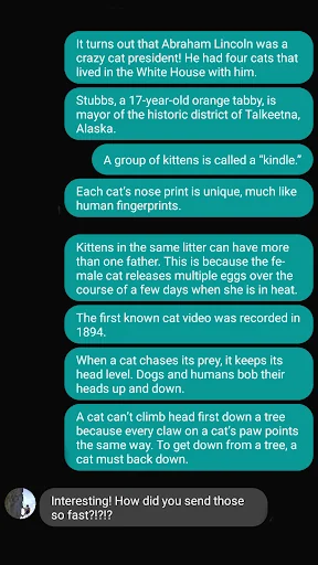 Cat Fact Attack
