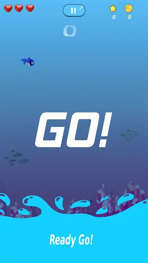 Fishy Run–Survival & Adventure