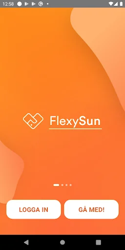 FlexySun