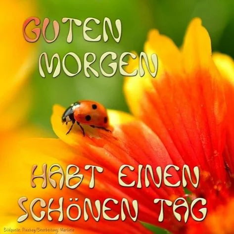 Guten Morgen und Gute Nacht