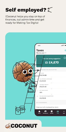 Coconut | Accounting & tax