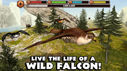 Falcon Simulator