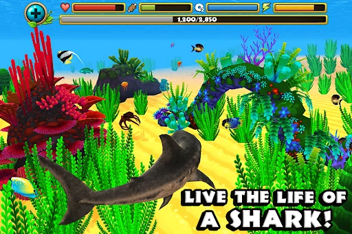 Wildlife Simulator: Shark