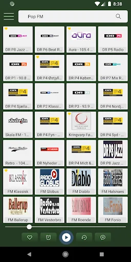 Denmark Radio - Denmark Am Fm