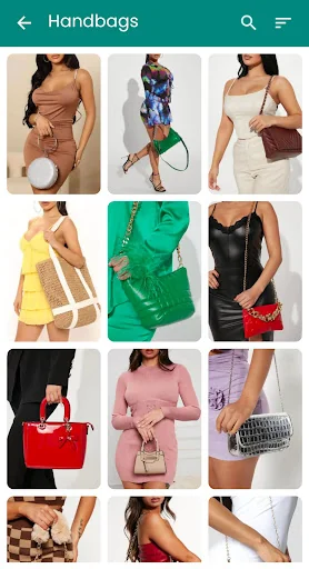 Designer Handbags and purses