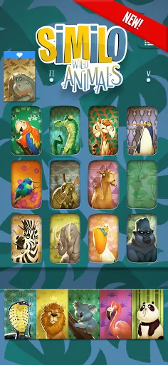 Similo: The Card Game