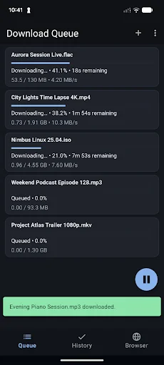 Download All Files