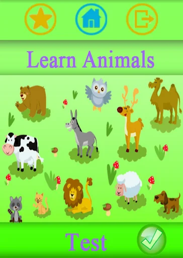 Animals for Kids Education