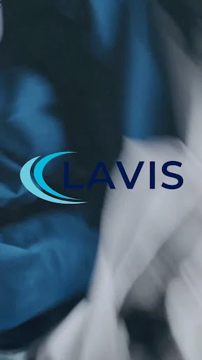 Lavis