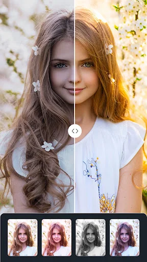 Photo Editor Filters & Effects