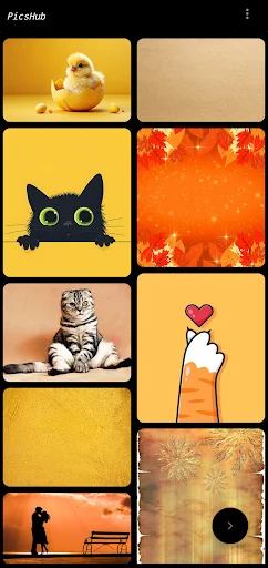 PicsHub