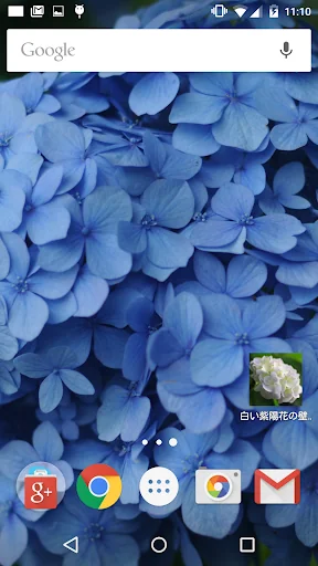 青色や水色の紫陽花の壁紙