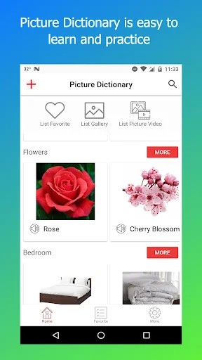 Pictures Dictionary