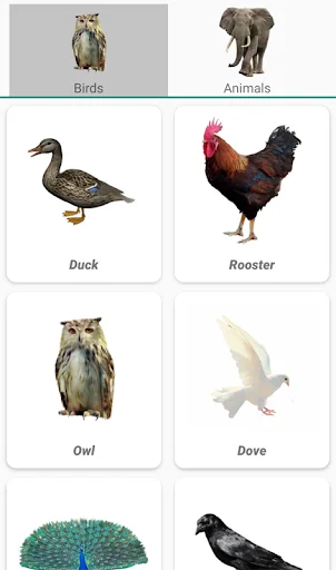 Animal Sounds