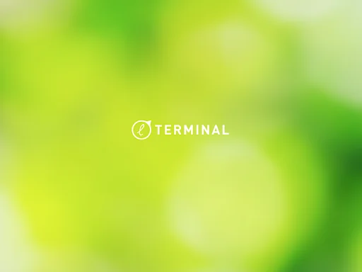 Terminal by Leandoo