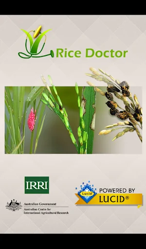 Rice Doctor