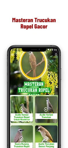 Masteran Trucukan Ropel Gacor