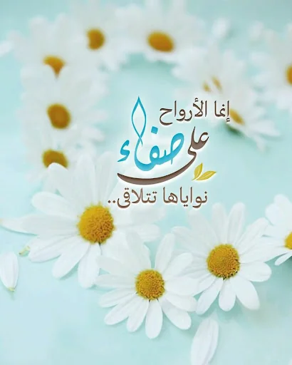صور خواطر وحكم وأمثال