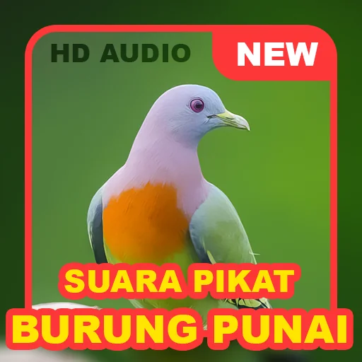 Suara Punai: Green Pigeon