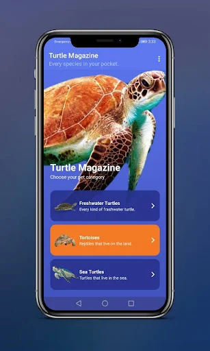 Turtle Magazine