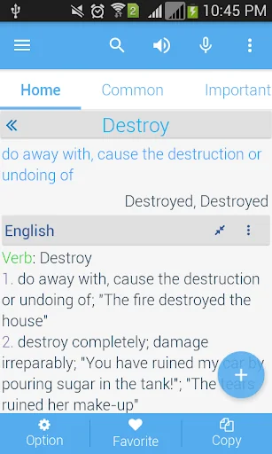 Dictionary Plus Plus