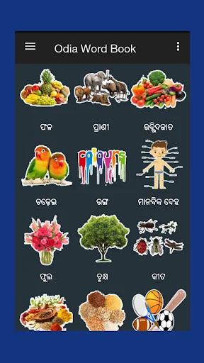 Odia Word Book