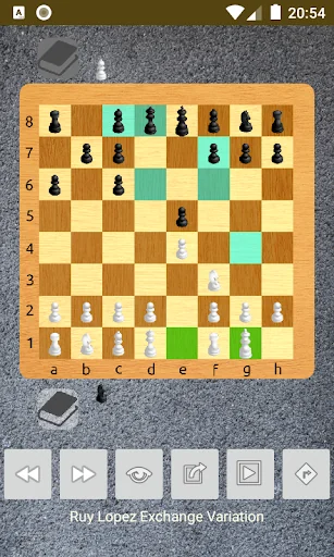 chess openings