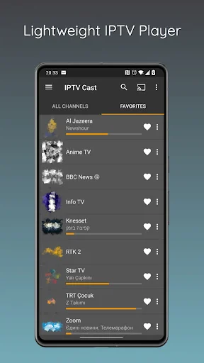 IPTV Cast - Media Player