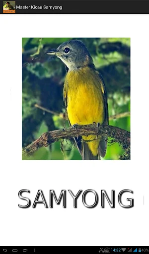Master Kicau Samyong