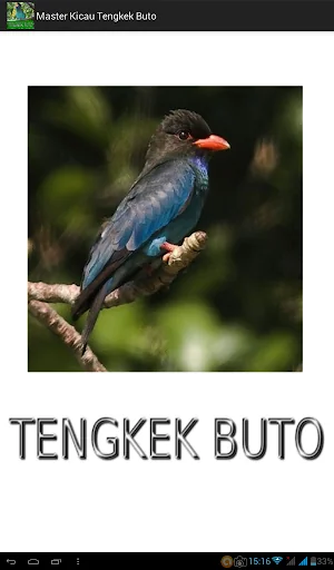 Master Kicau Tengkek Buto
