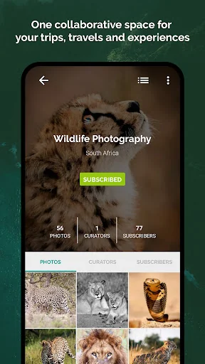 Plates - Photography Community